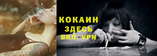 твердый Коряжма
