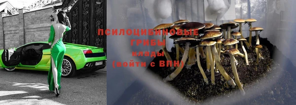 твердый Коряжма