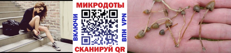 Псилоцибиновые грибы Cubensis Красноперекопск