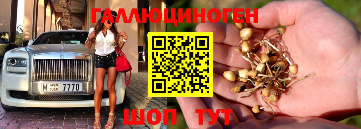 Псилоцибиновые грибы мицелий Красноперекопск